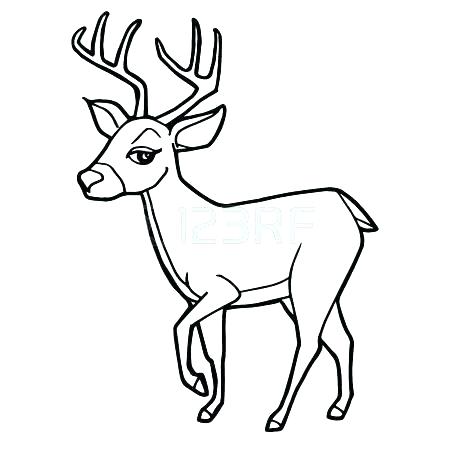 450x450 Mother And Baby Deer Coloring Pages Picture Cartoon Cute Page
