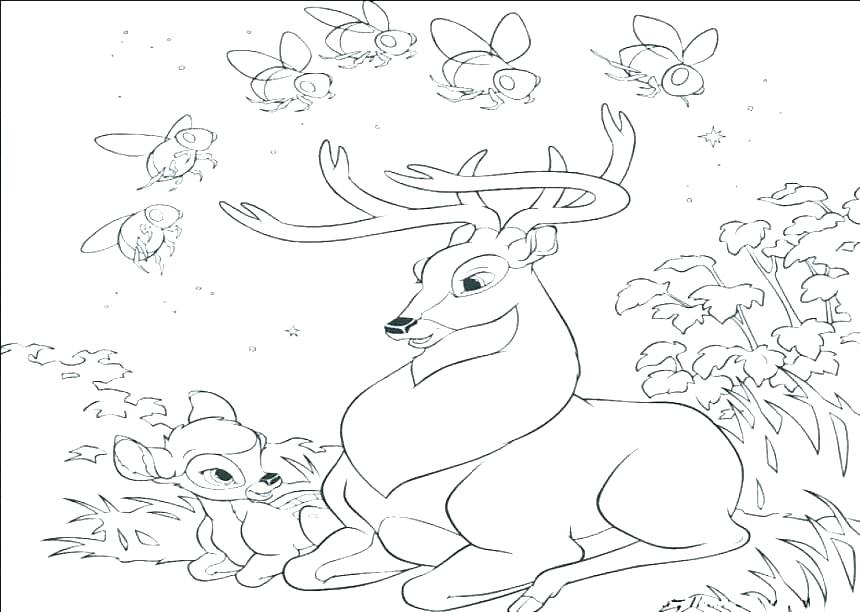 860x612 Printable Coloring Pages Reindeer Coloring Pages Deer Printable