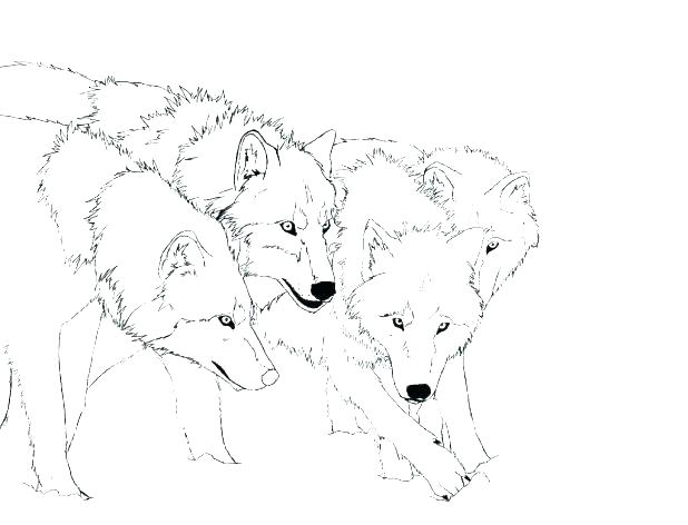 618x472 Whitetail Deer Coloring Pages Baby Deer Coloring Pages Baby Deer