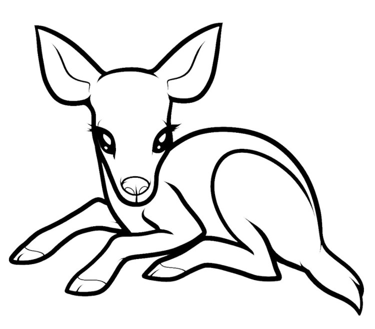 750x659 Baby Deer Coloring Pages