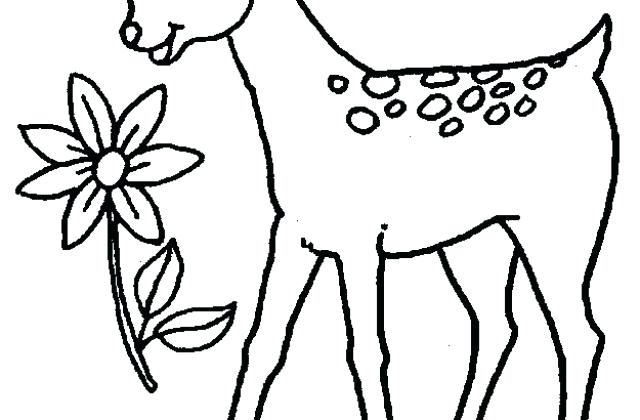 640x420 Baby Deer Coloring Pages Baby Deer Coloring Pages Pictures