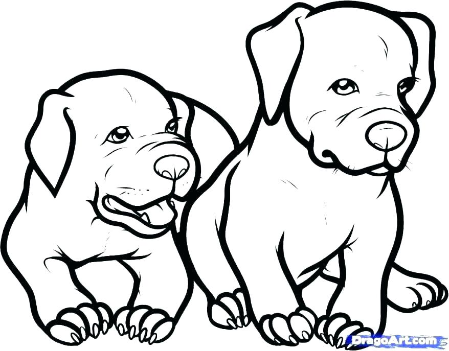 878x687 Baby Puppy Coloring Pages Puppies Coloring Sheets Baby Puppy