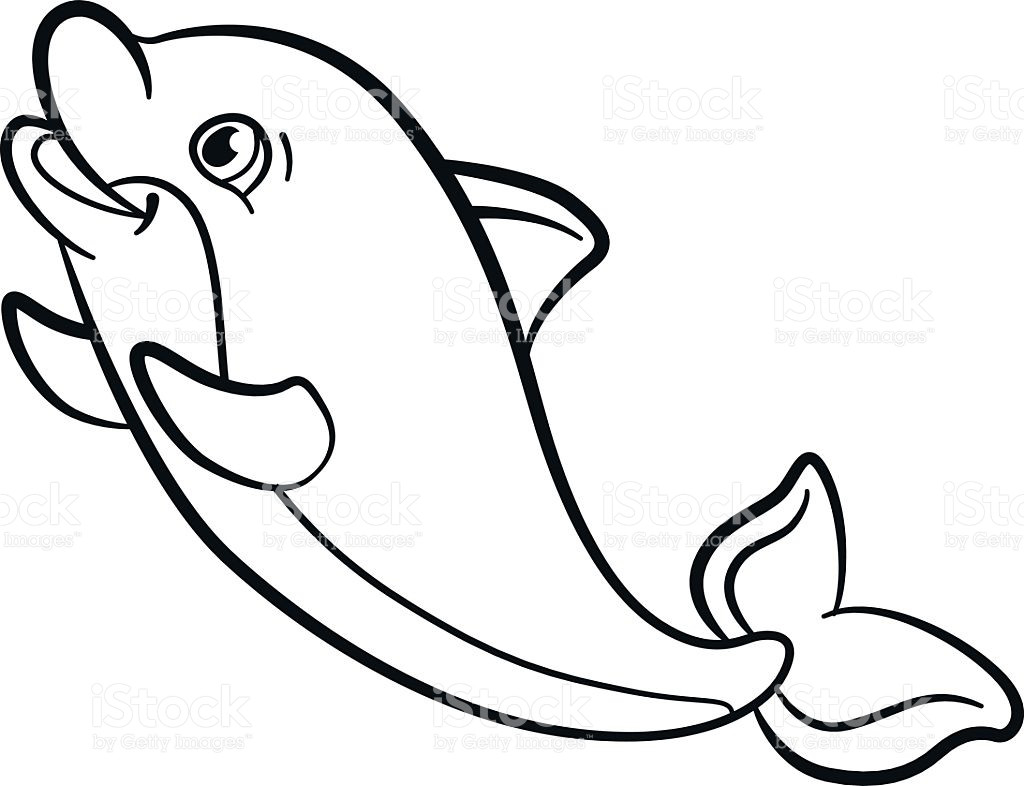 1024x786 Cute Baby Dolphin Coloring Pages