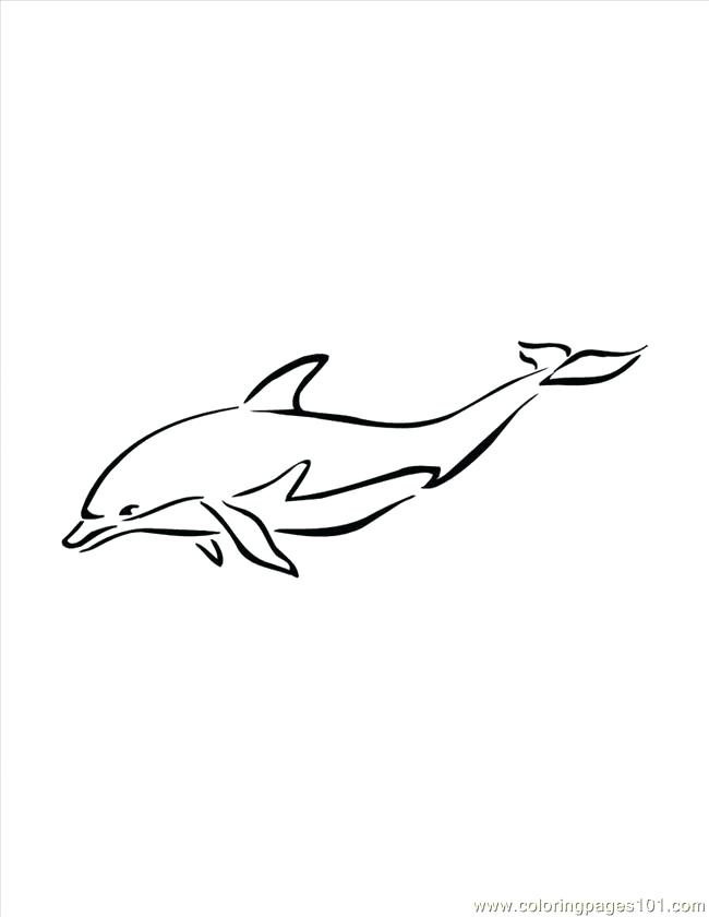 650x840 Dolphins Coloring Pages Coloring Pages Of Dolphins Dolphin