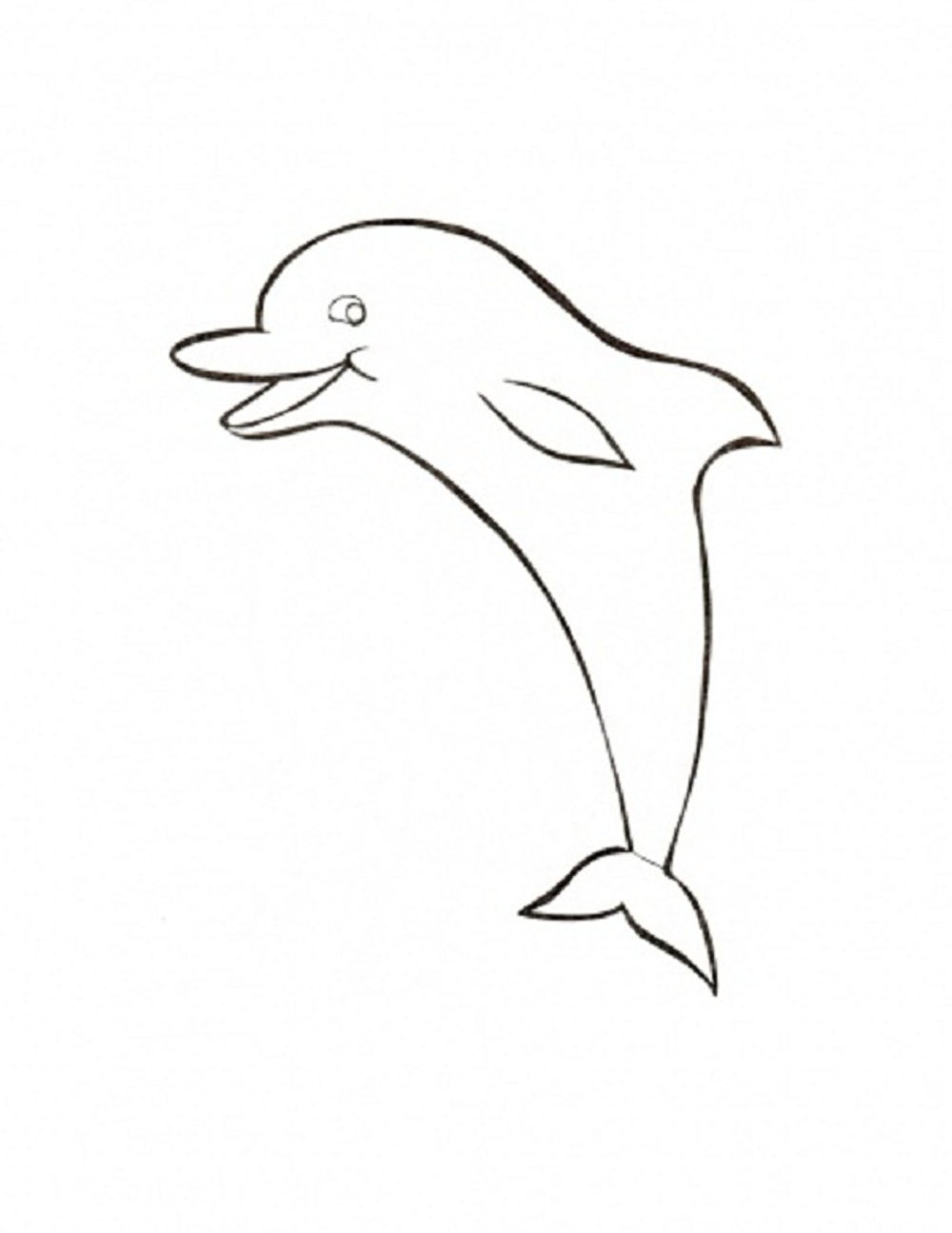 1000x1295 Baby Dolphin Coloring Pages