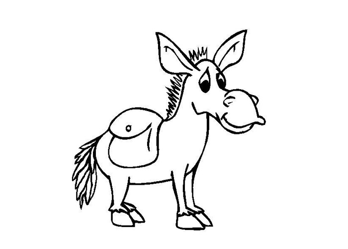 700x500 Baby Donkey Coloring Page