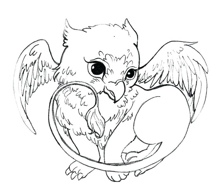 736x638 Baby Dragon Coloring Pages