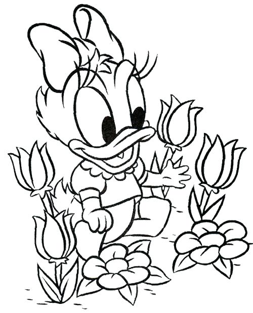 500x619 Baby Duck Coloring Pages Baby Duck Is A Duckling Coloring Page