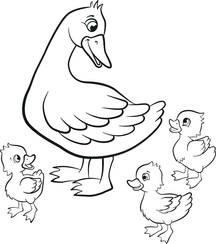 707x800 Coloring Pages Duck Baby Duck Coloring Page Coloring Page Duck