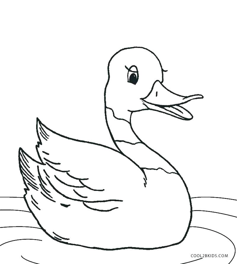 800x892 Daisy Duck Coloring Pages Duck Coloring Book Together With Baby