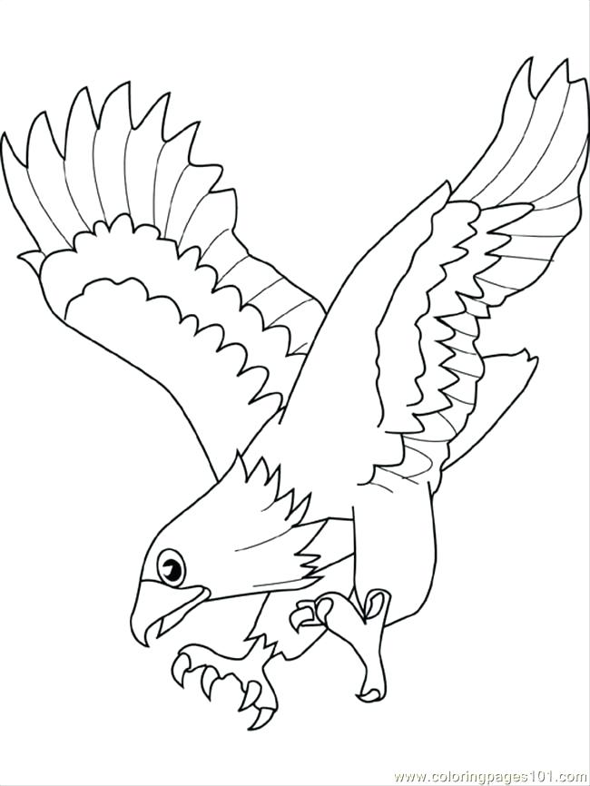 650x866 Eagle Coloring Coloring Page Baby Eagle Coloring Pictures