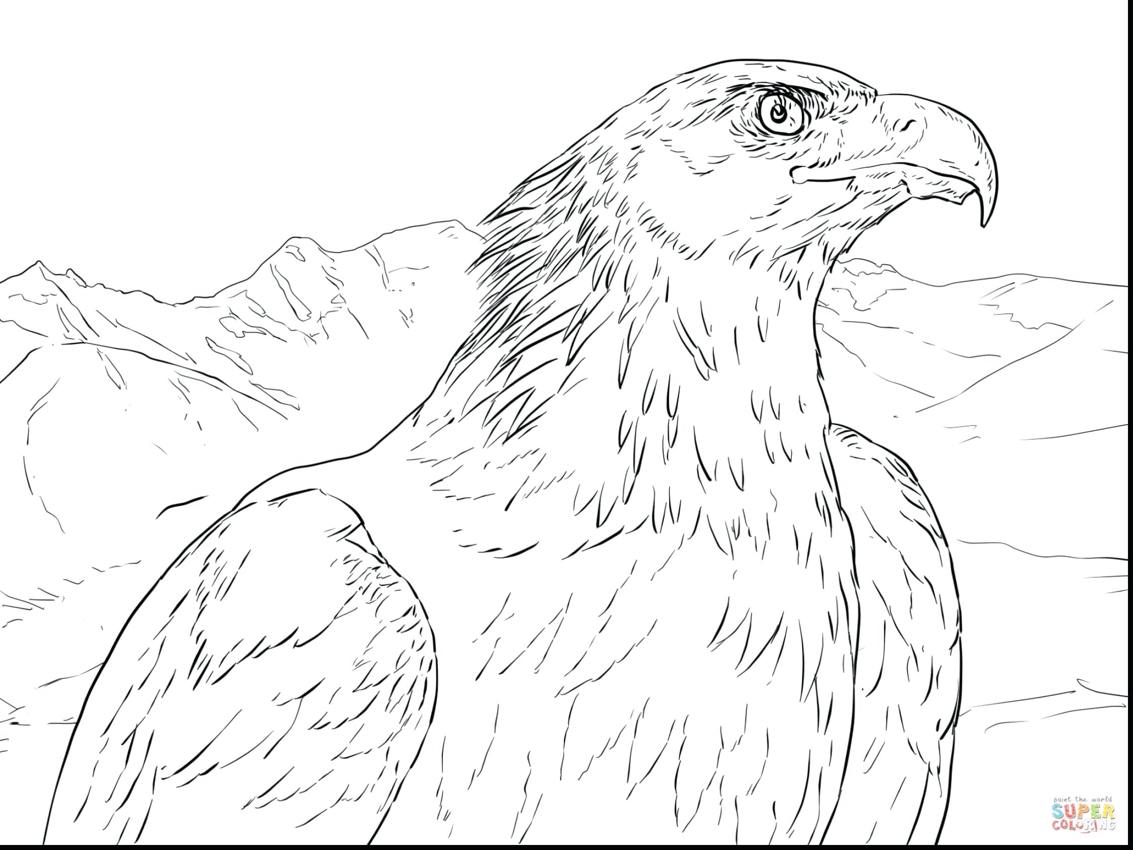 2252x1689 Eagle Coloring Pages Mandala Alphabet Free Of Head Fantastic