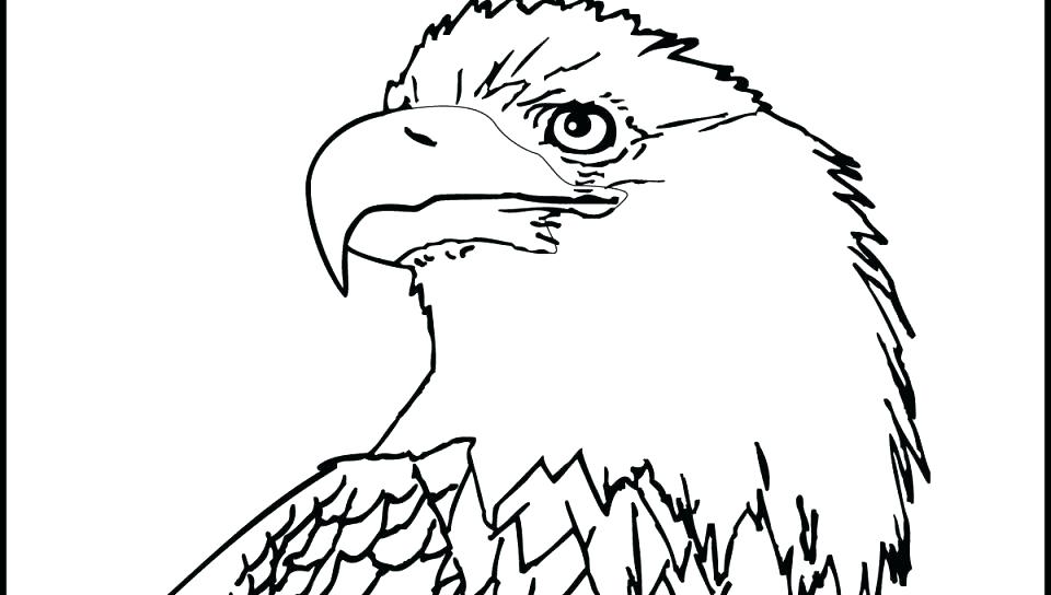 960x544 Eagle Pictures To Color Coloring Pages Of Eagles Wonderful Eagles