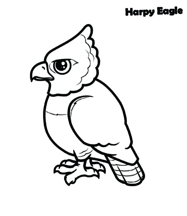 600x693 Harpy Eagle Coloring Page Printable Eagle Coloring Pages For Kids