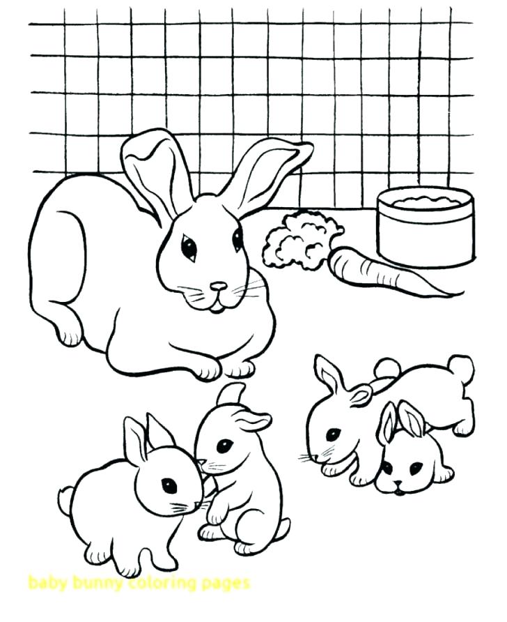 728x892 Coloring Pages Bunny Download This Coloring Page Easter Bunny
