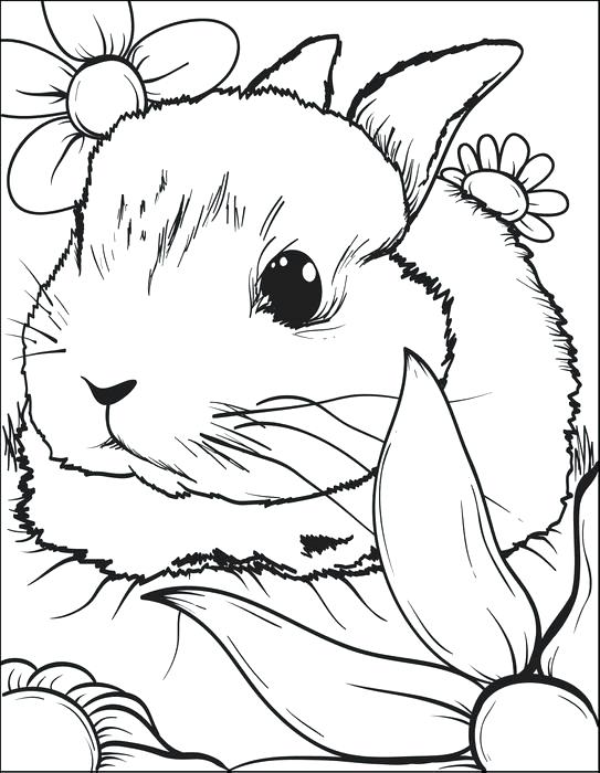 543x700 Rabbit Coloring Page Rabbit Sitting In Flowers Coloring Page