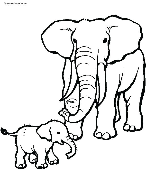 600x756 Elephant Color Page Related Post Cute Baby Elephant Coloring Pages