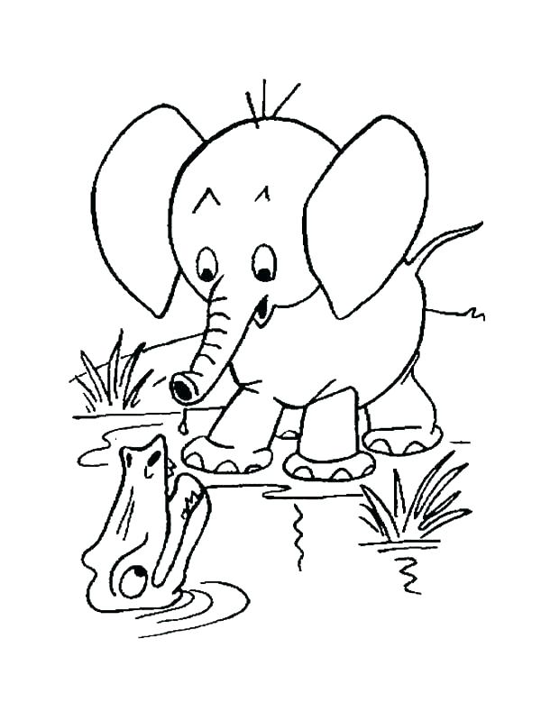 610x790 My Little Pony Baby Coloring Pages Cartoon Elephant Coloring Pages