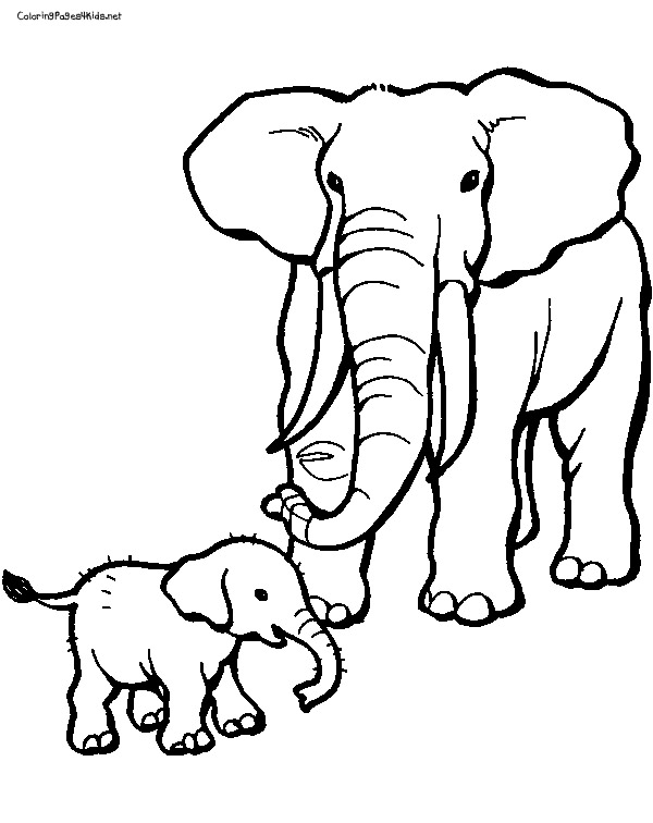 600x756 Baby Elephant Coloring Pages