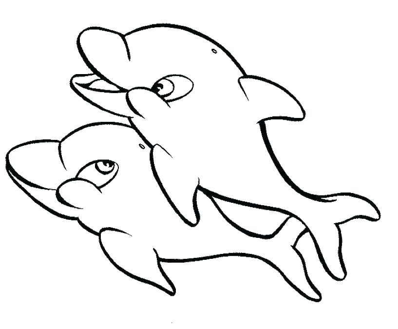 817x675 Dolphins Coloring Pages Coloring Pages Dolphins Dolphin Coloring