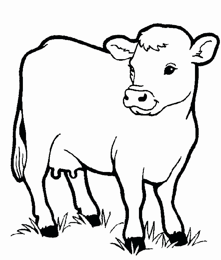 773x910 Farm Animals Coloring Page Lovely Baby Farm Animals Colouring