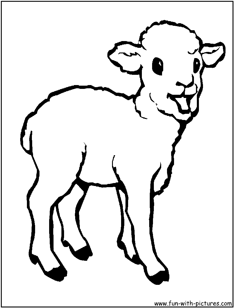 800x1050 Baby Animals Coloring Pages