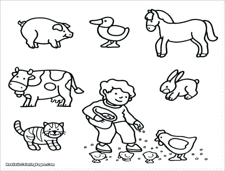 728x553 Baby Farm Animal Coloring Pages Farm Animal Coloring Page Baby