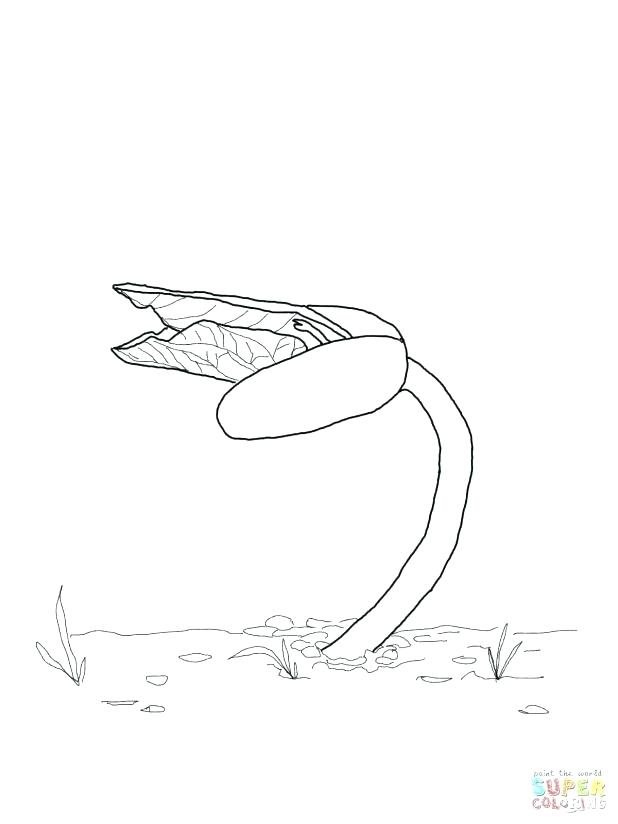 618x824 Tv Coloring Pages Coloring Pages Kipper Coloring Pages Net The Dog