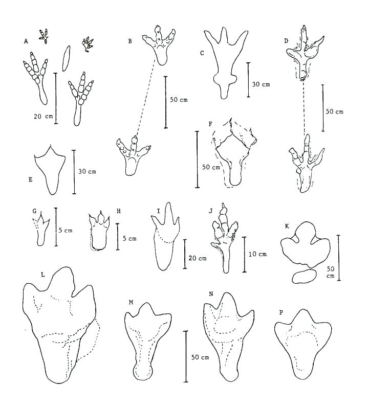 719x798 Footprints Coloring Page
