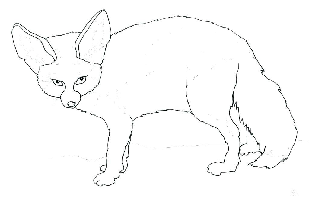1024x669 Red Fox Coloring Pages Red Fox Coloring Pages Coloring Pages