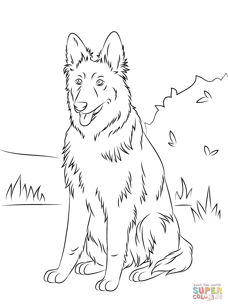 895x1200 Edge German Shepherd Coloring Pages Free Sitti