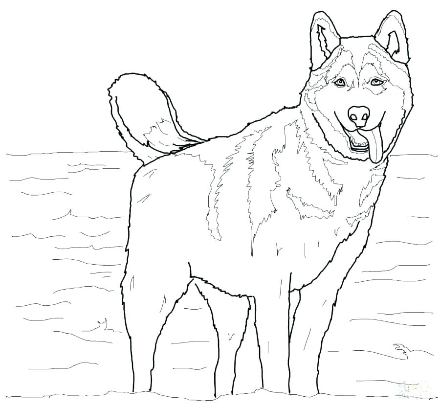 900x834 German Coloring Pages Coloring Pages Coloring Pages Coloring Page