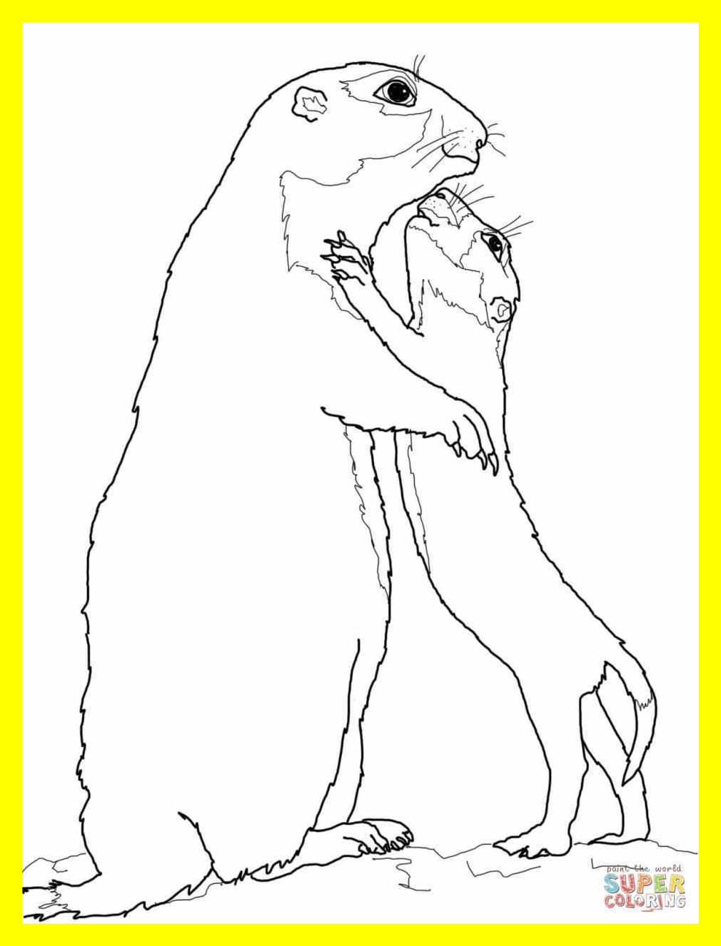 1010x1326 Appealing Cute Penguin Baby Coloring Pages Panda Chase Pic