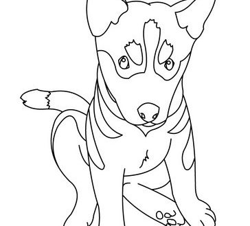 364x329 German Shepherd Coloring Page Sitting Free Printable Pages