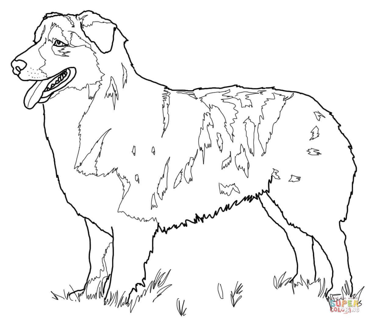 1200x1048 Baby German Shepherd Coloring Pages Coloring Pages