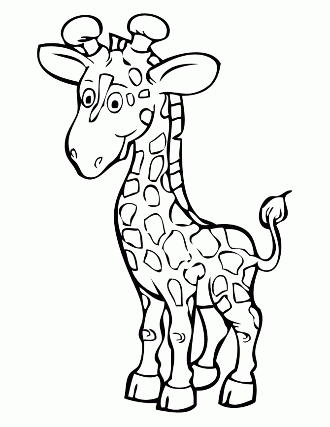 670x867 Giraffe Coloring Page Lovely Baby Giraffe Coloring Pages Az