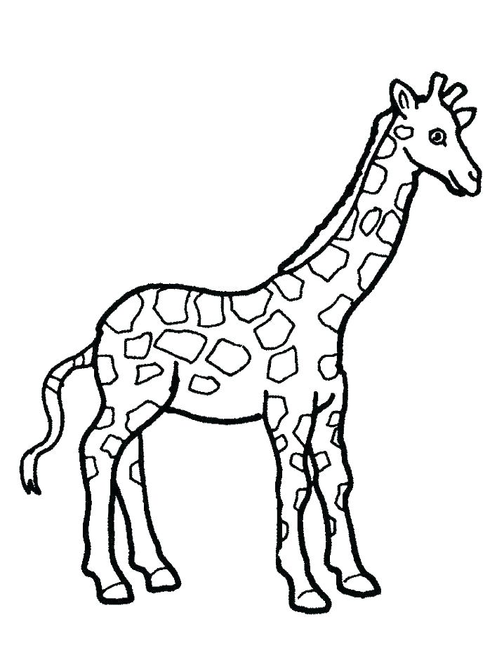 718x957 Giraffe Coloring Pages To Print Cute Baby Giraffe Coloring Pages