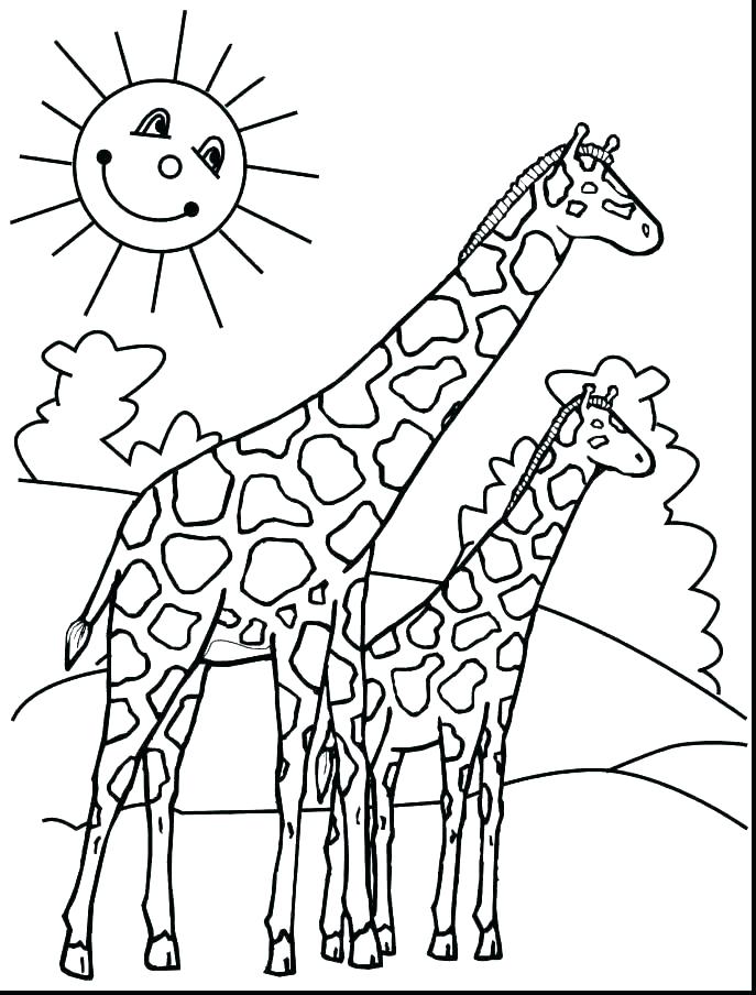 687x904 Giraffe Coloring Pages To Print Giraffe Coloring Pages Printable