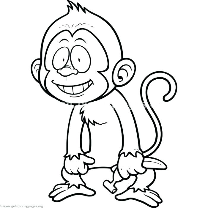 700x700 Baby Monkey Coloring Pages Baby Monkey Coloring Pages Child