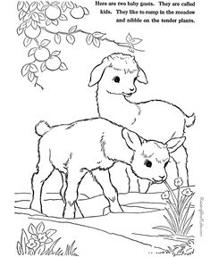 235x288 Barns And Farms Coloring Pages Farm Animalsfarmscountry
