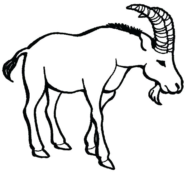 600x577 An Old Goat Coloring Pages Color An Old Goat Coloring Pages Cute