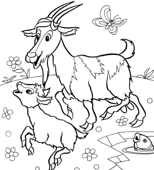 536x591 Coloring Pages Of Animals And Their Babies Goat Coloring Pictures