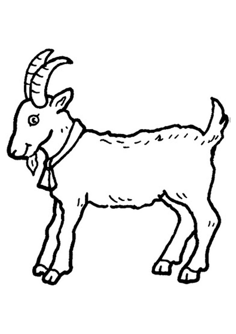 826x1169 Goat Coloring Pages Baby Goats Coloring Page