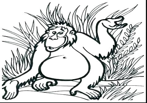 476x333 Goat Coloring Pictures Baby Goat Coloring Pages Simple Animal