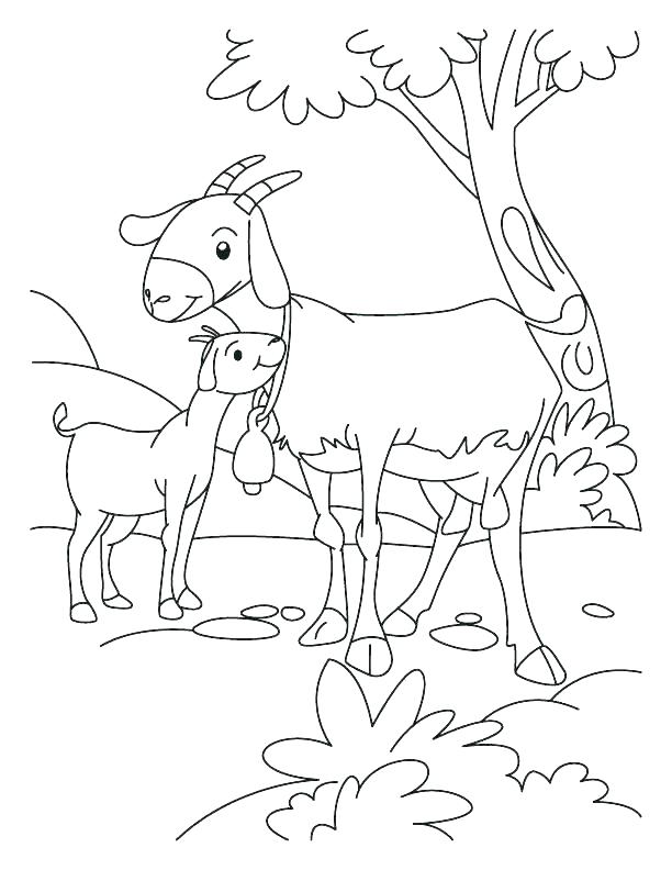 612x792 Goat Coloring Pictures Goat Coloring Pictures Pages Activity Page