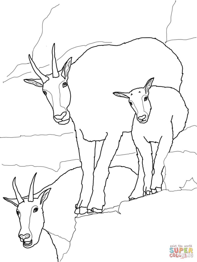 768x1024 Mountain Goat Baby With Family For Coloring Page