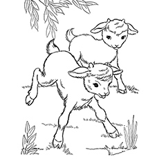 230x230 Top Free Printable Goat Coloring Pages Online