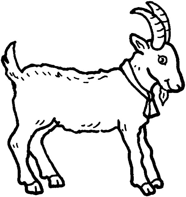 600x638 Young Goat Coloring Pages Color Luna