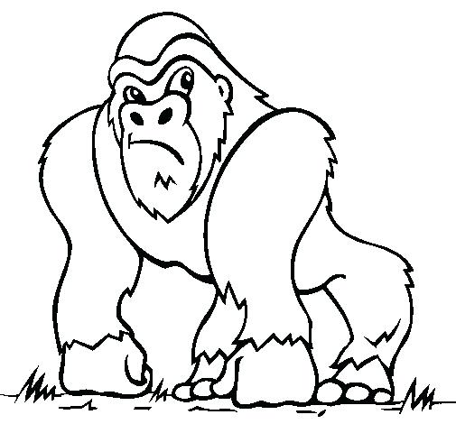 505x470 Gorilla Coloring Page Goodnight A Coloring Sheet A Pictures