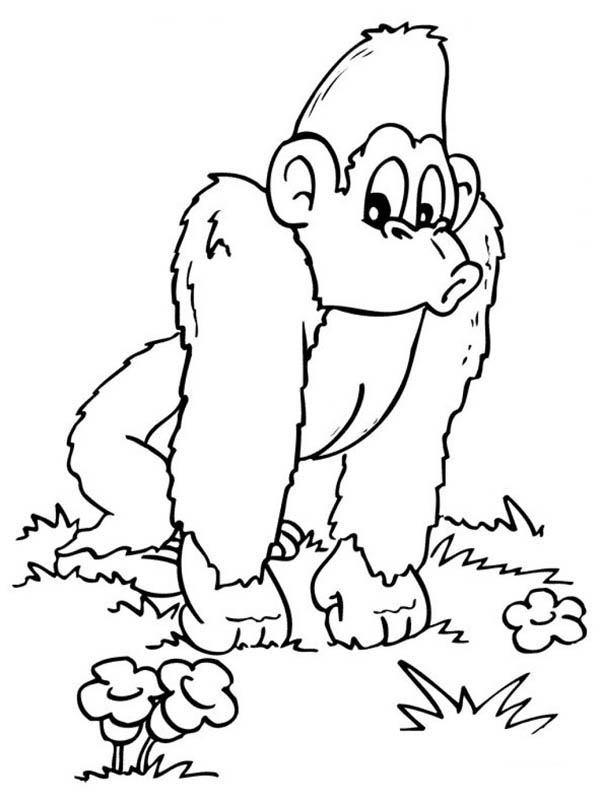 600x803 Baby Gorilla Monkey Coloring Page